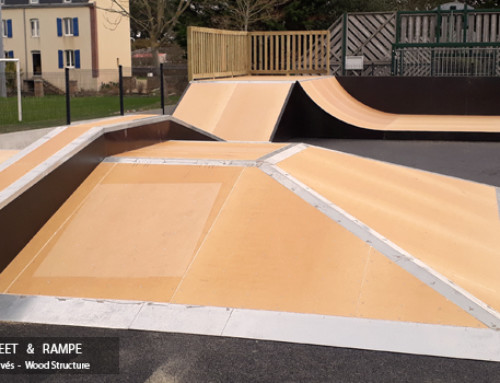 Skatepark de Tregastel (22)