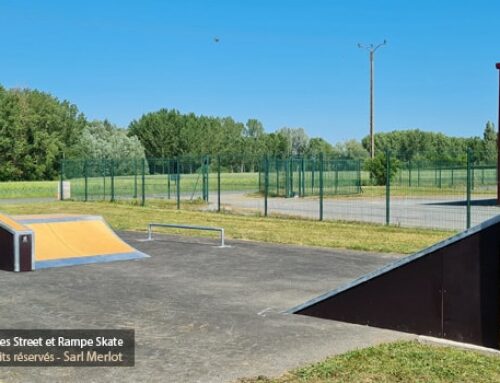 Skatepark de Maisonneuve (86