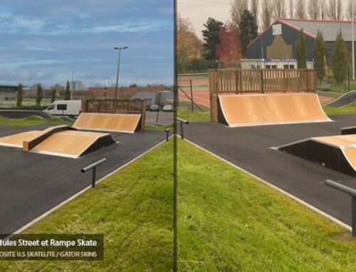 Skatepark de Hellemmes (59)