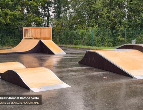 Skatepark de Marly-la-Ville (95)