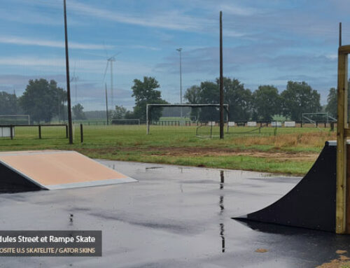 Skatepark de La Regrippière (44)