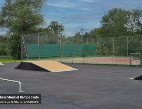 Skatepark de Reugny (37)