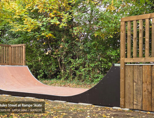 Skatepark de St Romain au Mont d’Or (69)