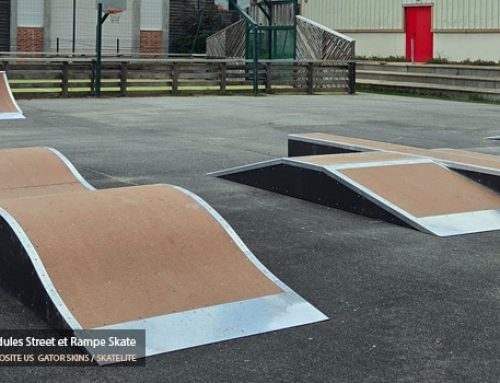 Skatepark de Artannes-sur-Indre (37)