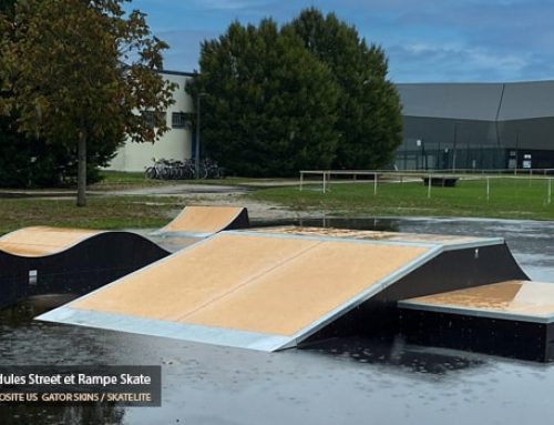 Skatepark de Chaingy (45)