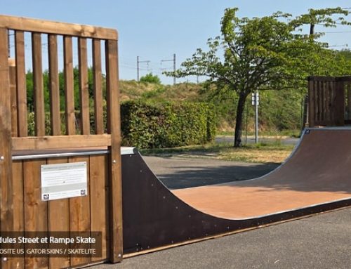 Skatepark de Montlouis-sur-Loire (37)